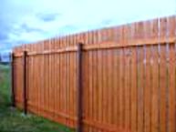 ����� ����������