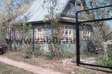 ����� ������ ���������