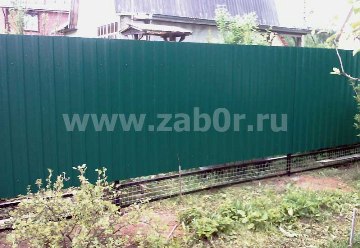 ����� �������� ���������