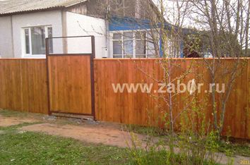 ����� ���������� ���������