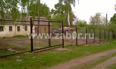 ����� ����� ������ ���������