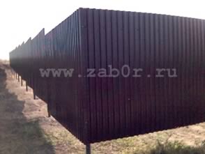 ����� �������� ���������